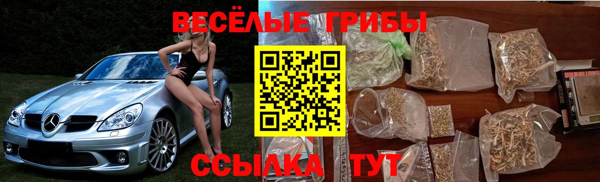 Псилоцибиновые грибы мицелий  Вход с VPN  Псилоцибиновые грибы мицелий  Красноармейск 